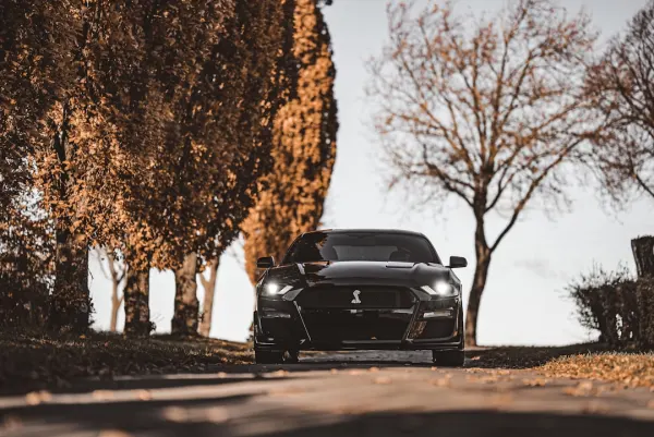 SuperNopea Kaszinó Android/iOS Alkalmazás